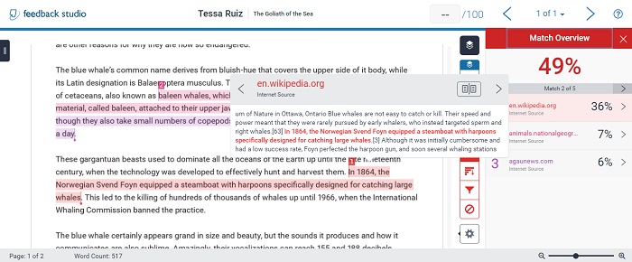 turnitin plagiarism